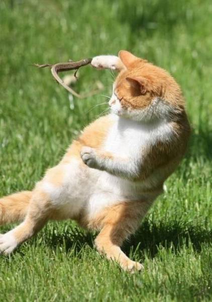 Daily Picdump