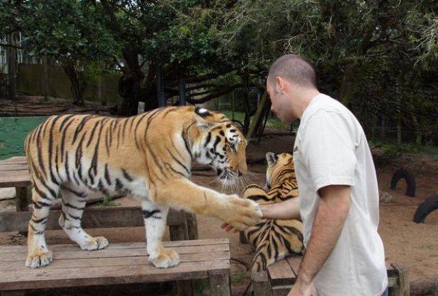 Daily Picdump