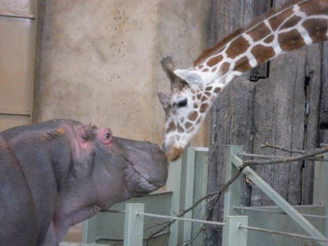 Daily Picdump
