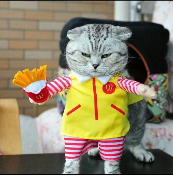 Daily Picdump