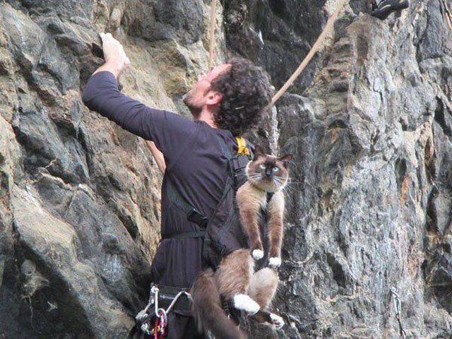 Daily Picdump